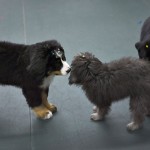 Group Classes