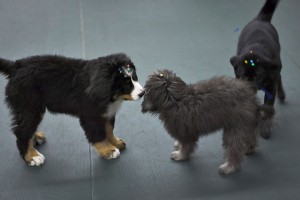 Group Classes