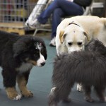 Group Classes