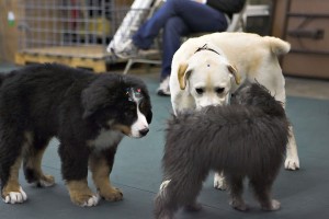 Group Classes