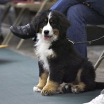 Group Classes