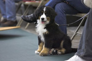 Group Classes