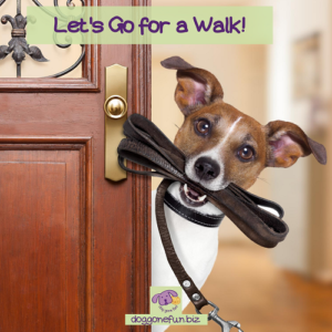 Colleen helps you Prepare your puppy for safe dog walks in public involves the leash or halter you choose, the route you take, and planning to handle potential troubles.
