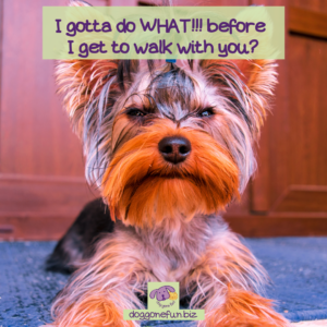 Safe dog walking begins by preparing before leaving the house; get your dog fully engaged with you, so you can easily refocus his attention when distracted.