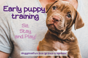 Colleen Shananhan of Ashland Oregon makes early puppy training fun for the owner and puppy and instills obedience and attentiveness.