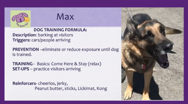 Dog Trainer Colleen Shanahan’s sample Puppy Training Plan for Max.