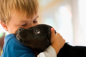 Hugging your dog is a debate between dog experts and the answer is you should learn dog body language to see what your dog is comfortable with.